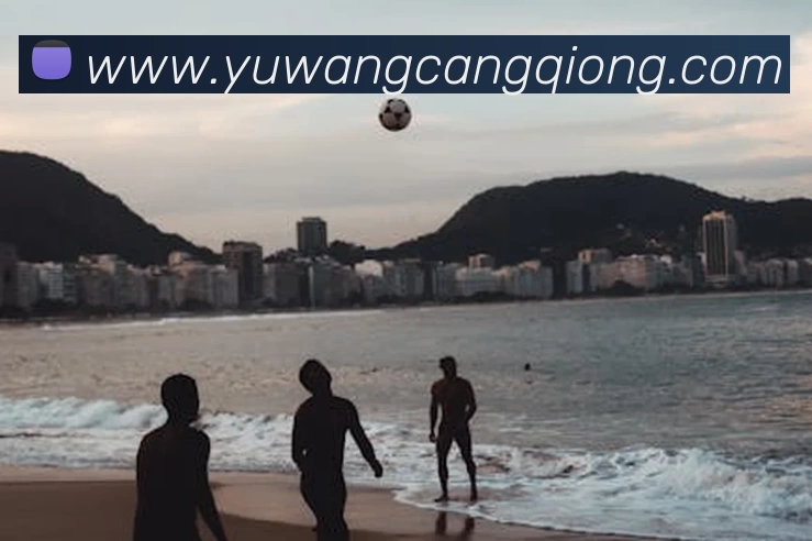 头号玩家·(龙八)唯一官方网站平台生态图